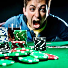Зеркало Kaktuz Casino